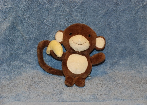 monkey shown in front of blue background