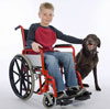 photo of a child in a wheelchair and a service dog