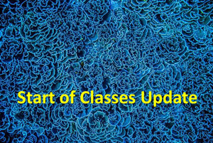 Image of fallen leaves "Start of Classes Update" on a coral blue background