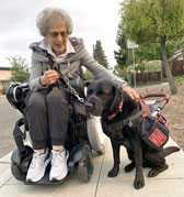 photo of Abby in her Whill wheelchair with her service dog Nathan