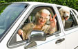 an older woman at the wheel, dog in the back