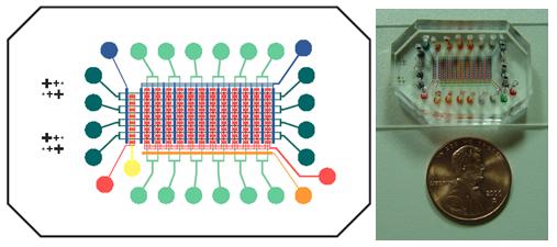 Microfluidic SPR Chip picture