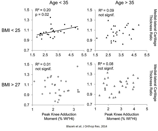 relationship between knee adduction moment and cartilage thickness is lost with age and obesity