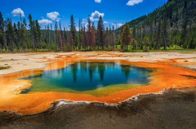 Microbial Mats in Yellowstone Hotsprings