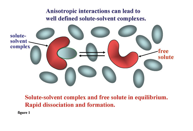  cartoon of an anisotropic solute molecule and a solute-solvent complex.