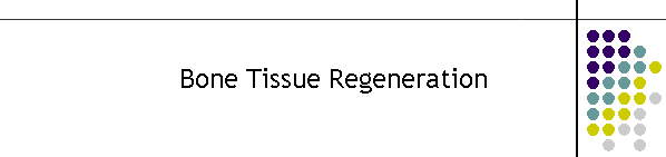 Bone Tissue Regeneration