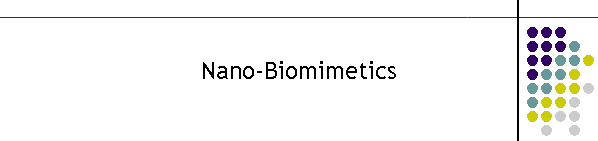 Nano-Biomimetics
