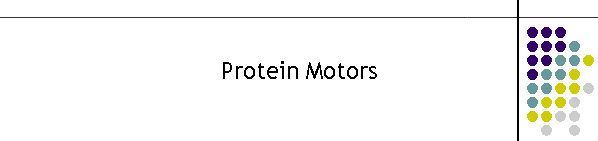 Protein Motors
