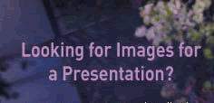 Looking for Images for a Presentation?