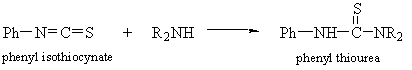 phenyl isothiocynate + R2NH → phenyl thiourea