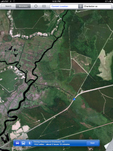 Satellite view of abandoned rice fields ACE basin, NW of Highway 17