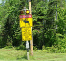 moose sign.jpg
