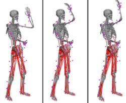 Human Motion Reconstruction And Synthesis of Human Skill