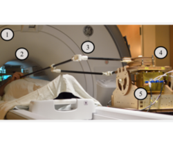 Haptic fMRI : Combining Functional Neuroimaging with Haptics for Studying the Brain's Motor Control Representation