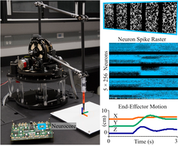 Controlling Articulated Robots in Task-Space with Spiking Silicon Neurons