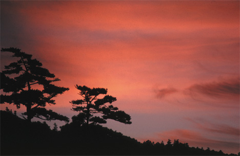 Ta Yue Peak Sunset Picture