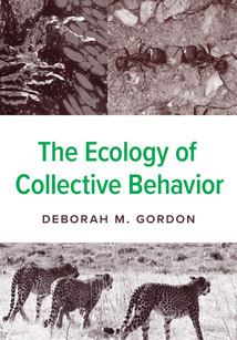 Book cover for The Ecology of Collective Behavior
