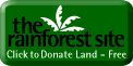 [Rainforest Site]
